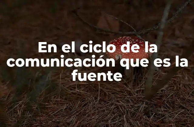 El rol de la fuente en el proceso de interacción humana