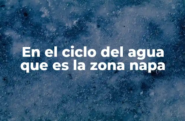 En el Ciclo Del Agua que es la Zona Napa