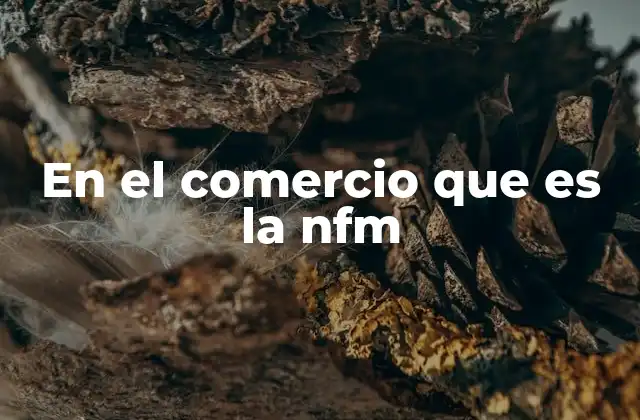 En el Comercio que es la Nfm