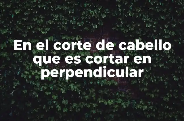 En el Corte de Cabello que es Cortar en Perpendicular