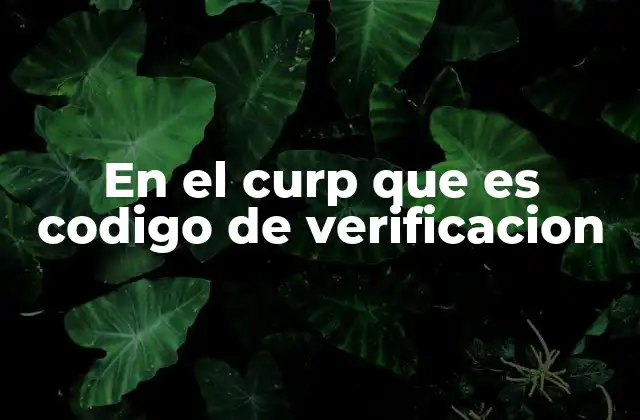 En el Curp que es Codigo de Verificacion