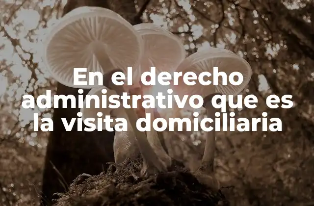 En el Derecho Administrativo que es la Visita Domiciliaria