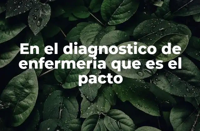 En el Diagnostico de Enfermeria que es el Pacto