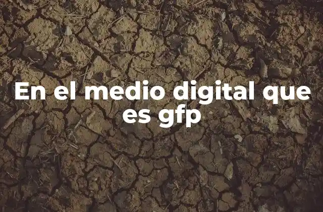 En el Medio Digital que es Gfp
