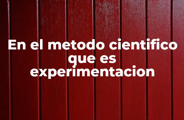 El papel de la experimentación en el avance científico