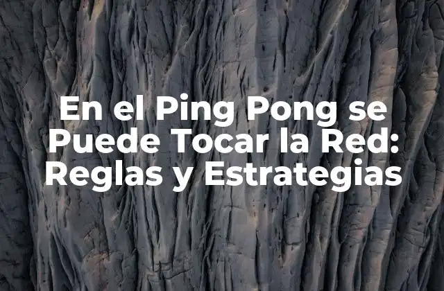 En el Ping Pong Se Puede Tocar la Red: Reglas y Estrategias