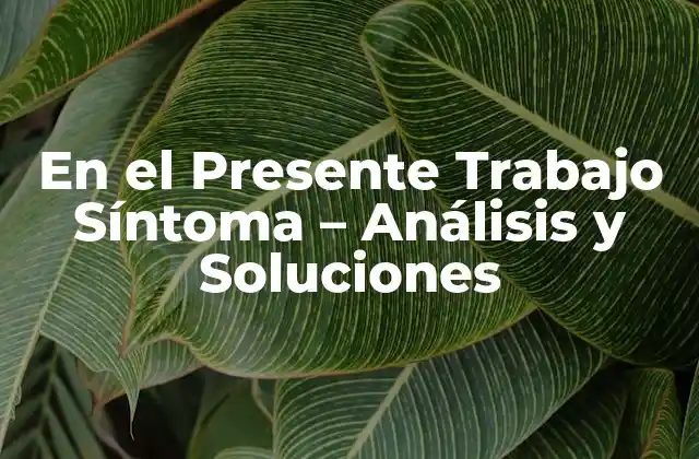 ¿Qué se Entiende por En el Presente Trabajo?