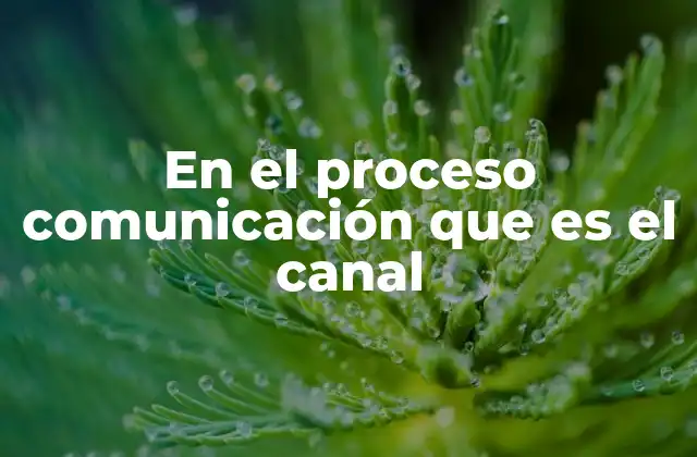 En el Proceso Comunicación que es el Canal