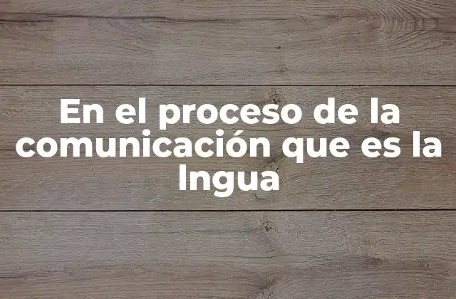 En el Proceso de la Comunicación que es la Lngua