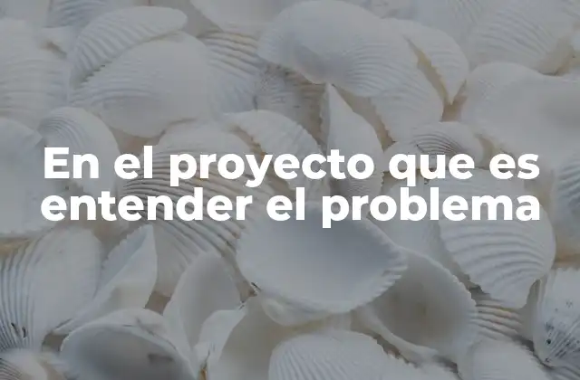 En el Proyecto que es Entender el Problema