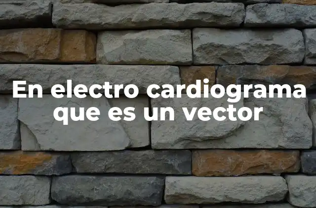 En Electro Cardiograma que es un Vector