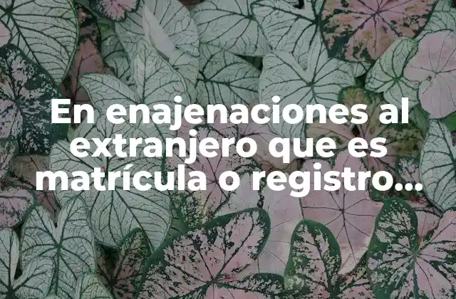 En Enajenaciones Al Extranjero que es Matrícula o Registro Mexicano