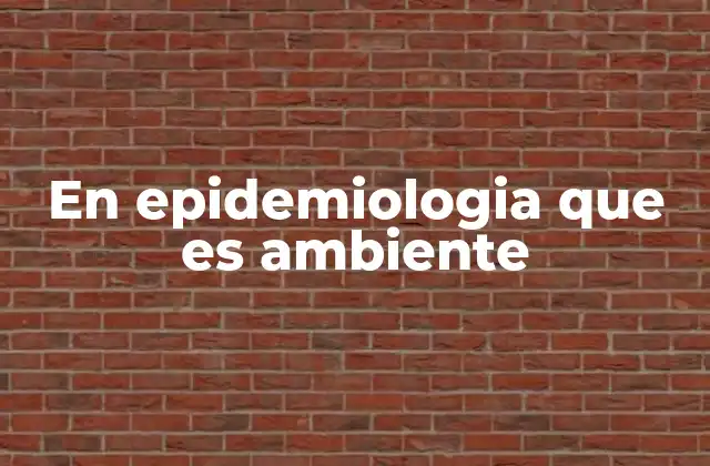 En Epidemiologia que es Ambiente