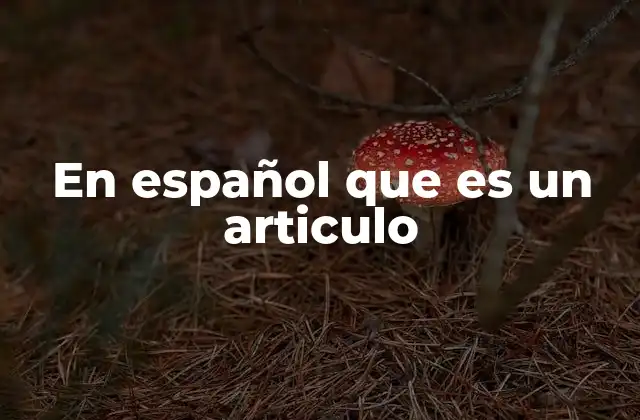 En Español que es un Articulo