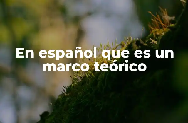 En Español que es un Marco Teórico