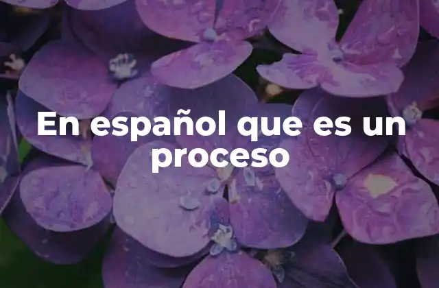 En Español que es un Proceso 2 Cómo la frase en español que es un proceso facilita la comunicación