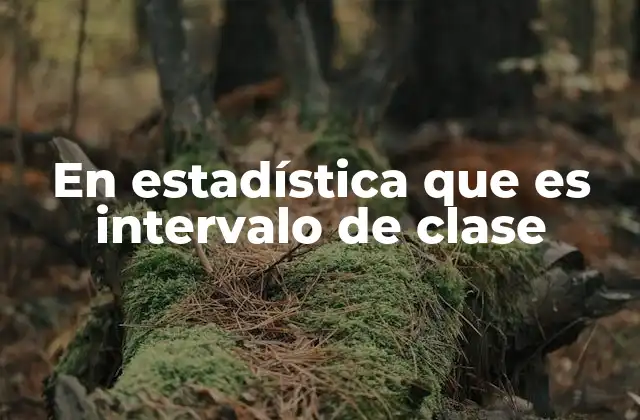 En Estadística que es Intervalo de Clase