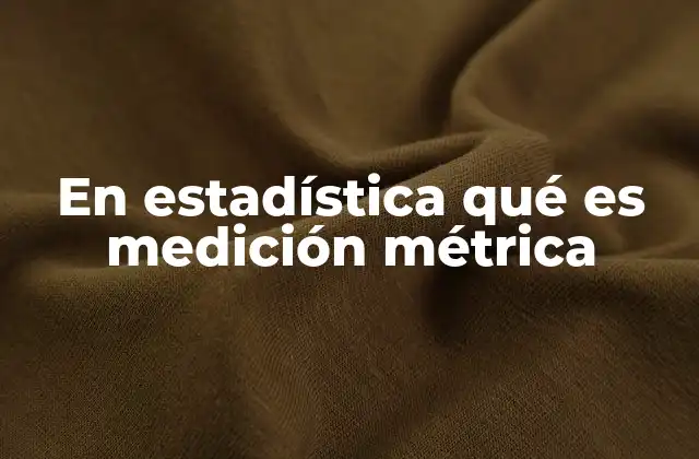 En Estadística Qué es Medición Métrica