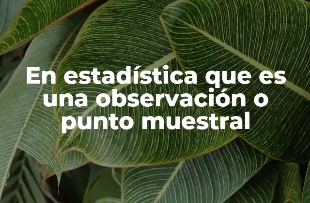 En Estadística que es una Observación o Punto Muestral