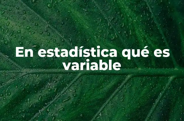 En Estadística Qué es Variable