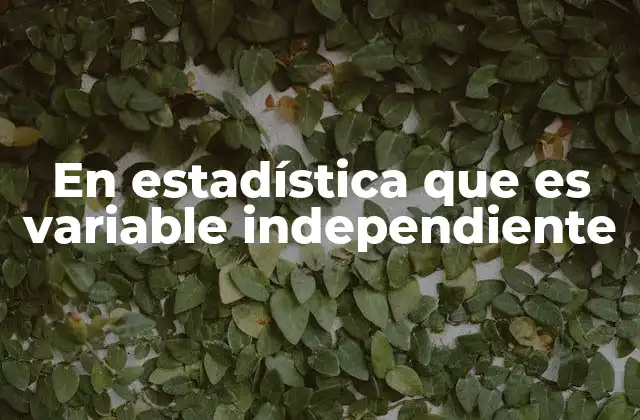 En Estadística que es Variable Independiente