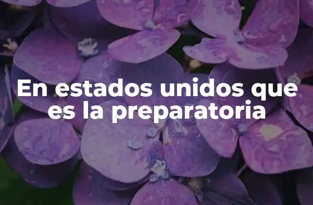 En Estados Unidos que es la Preparatoria