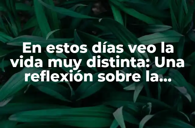 En Estos Días Veo la Vida Muy Distinta: una Reflexión sobre la Perspectiva y la Gratitud