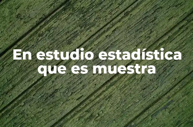 En Estudio Estadística que es Muestra