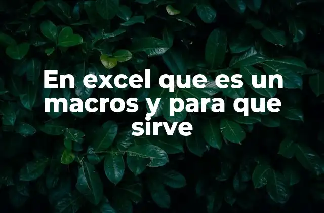 En Excel que es un Macros y para que Sirve