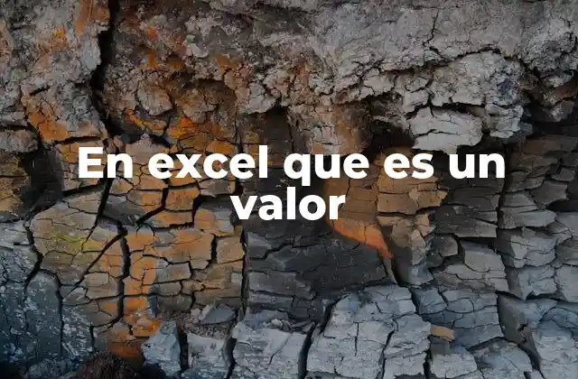 En Excel que es un Valor