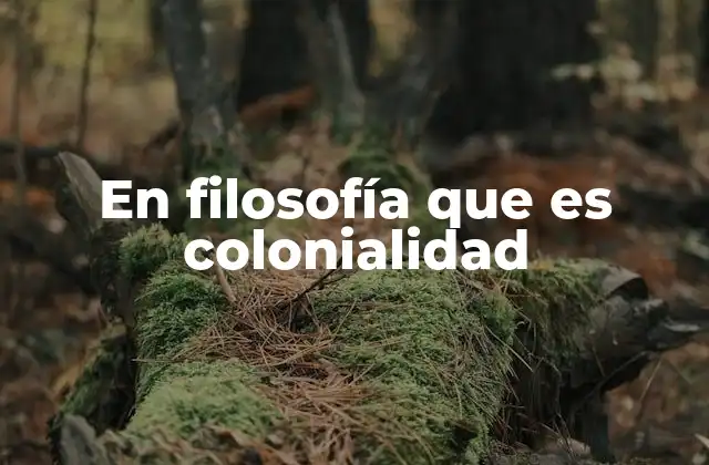 En Filosofía que es Colonialidad