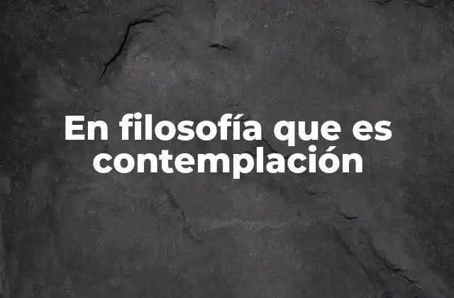 En Filosofía que es Contemplación