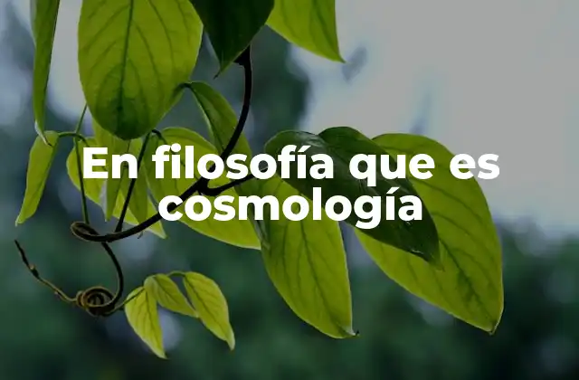 En Filosofía que es Cosmología