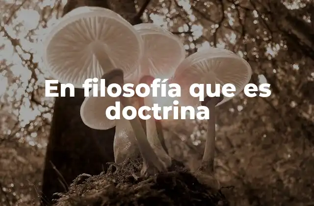 En Filosofía que es Doctrina