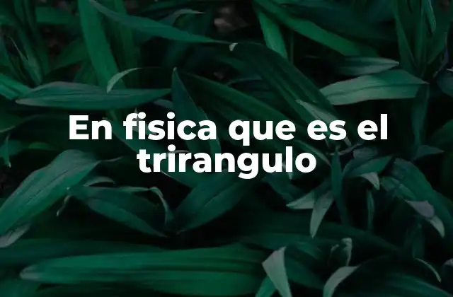 En Fisica que es el Trirangulo 2 Aplicaciones del trirangulo en representaciones vectoriales