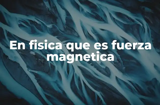 En Fisica que es Fuerza Magnetica