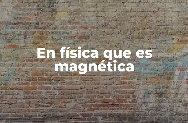 En Física que es Magnética