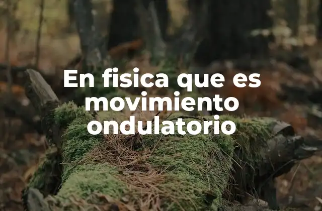 En Fisica que es Movimiento Ondulatorio