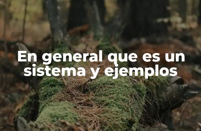 En General que es un Sistema y Ejemplos