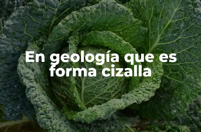 La deformación por cizalla y su papel en la formación de estructuras geológicas