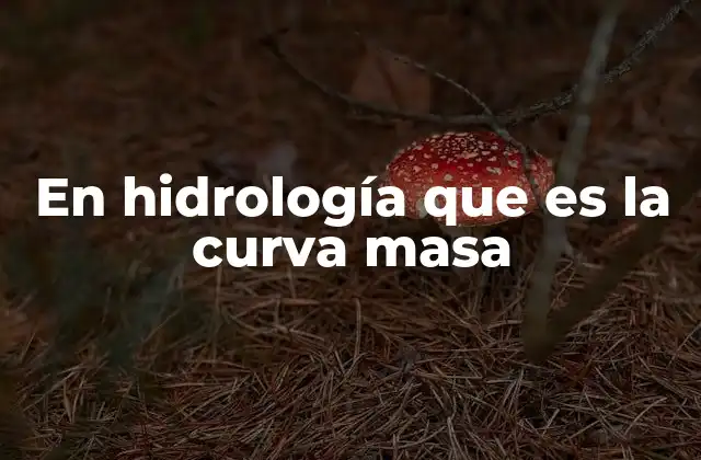 En Hidrología que es la Curva Masa