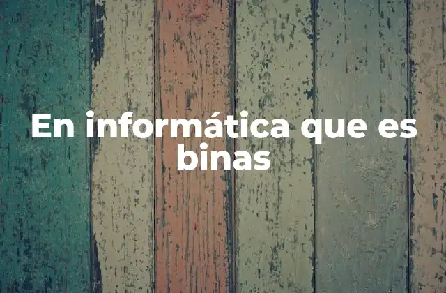 En Informática que es Binas