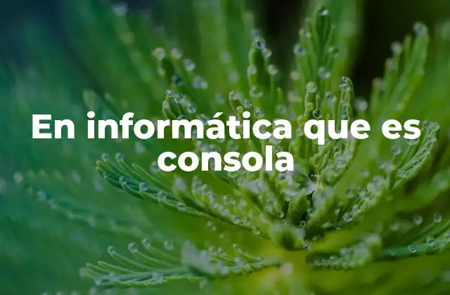 En Informática que es Consola 2 La importancia de la consola en el desarrollo de software