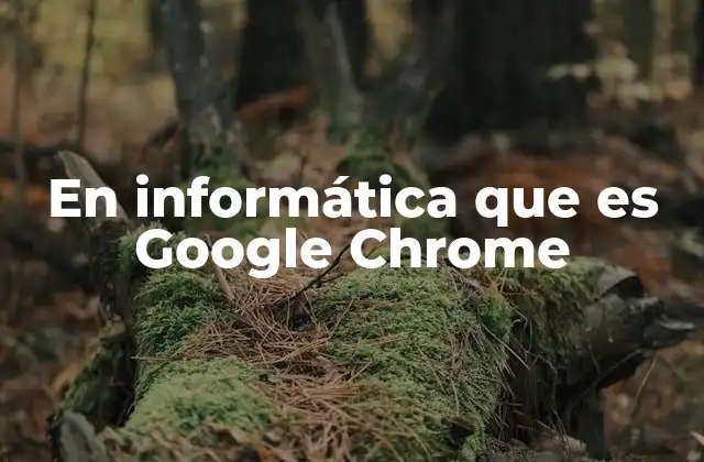 En Informática que es Google Chrome