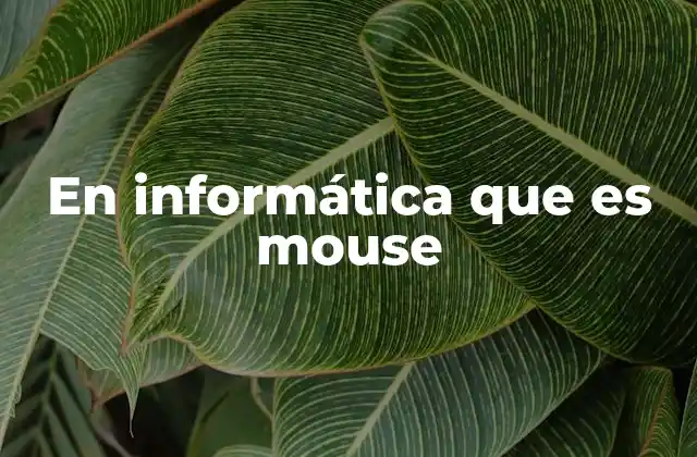 En Informática que es Mouse