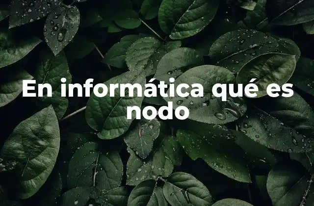 En Informática Qué es Nodo