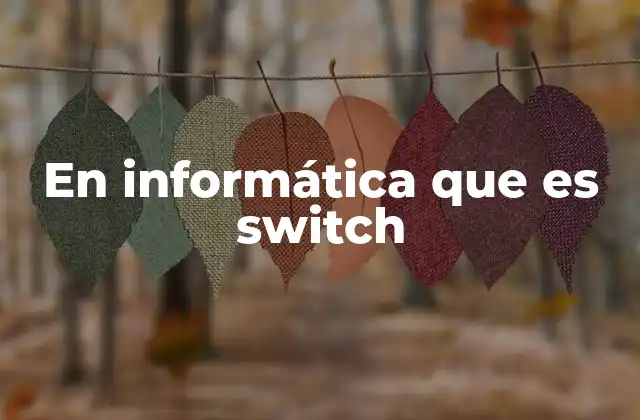 En Informática que es Switch