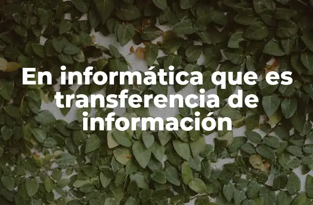 En Informática que es Transferencia de Información
