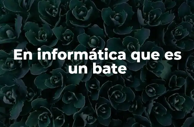 En Informática que es un Bate