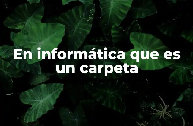 En Informática que es un Carpeta